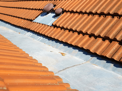 About Leaking Skylight Repair Pros McNeal, AZ